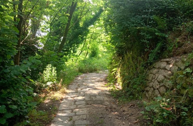 HAI MAI VISTO PESCIA DALL’ALTO? Escursione e banchetto per i Soci della Banca. Come prenotarsi