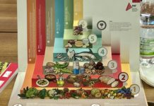 Profumo di vino. Convegno e cena all’istituto Agrario