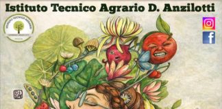 Ai nastri di partenza la 14° edizione Naturalitas