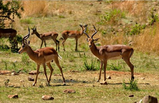 Senza titolo (1024 x 664 px)