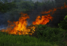 INCENDIO NEI PRESSI DI PONTITO. Sotto accusa le condizioni atmosferiche