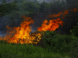 INCENDIO NEI PRESSI DI PONTITO. Sotto accusa le condizioni atmosferiche