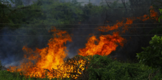 INCENDIO NEI PRESSI DI PONTITO. Sotto accusa le condizioni atmosferiche