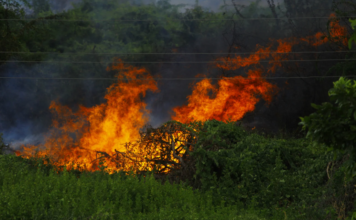 INCENDIO NEI PRESSI DI PONTITO. Sotto accusa le condizioni atmosferiche