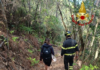 PASQUETTA, SI PERDE NEL BOSCO. Messa in salvo dai Vigili del Fuoco