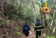 PASQUETTA, SI PERDE NEL BOSCO. Messa in salvo dai Vigili del Fuoco