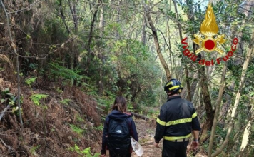 PASQUETTA, SI PERDE NEL BOSCO. Messa in salvo dai Vigili del Fuoco
