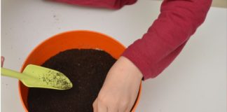 Si replica”Bambini in fiore” con la Pro Loco San Quirico
