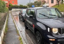 CARABINIERI, DISPIEGAMENTO di pattuglie. Controllo del territorio