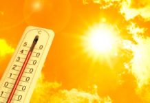 DIVIETO esposizione sole per rischio calore