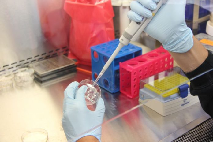 0003 Attività di analisi in un laboratorio_immagine libera da Pixabay