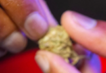 SPACCIO DI HASHISH. Divieto di dimora nella Provincia di Pistoia