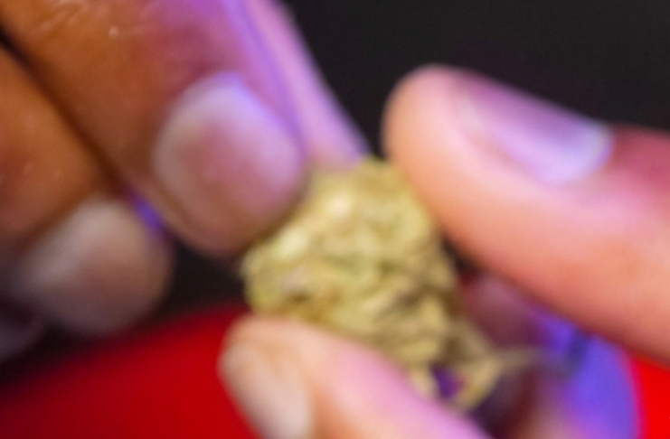 SPACCIO DI HASHISH. Divieto di dimora nella Provincia di Pistoia