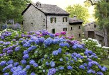 TREKKING SULL’APPENNINO con Romina Biagi. Il 9 agosto sul Monte Cavallo