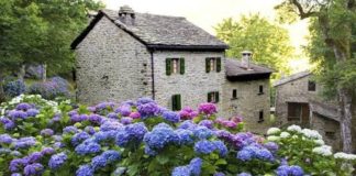 TREKKING SULL’APPENNINO con Romina Biagi. Il 9 agosto sul Monte Cavallo