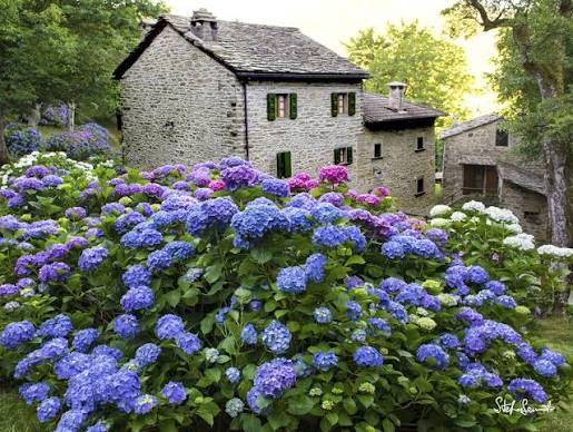 TREKKING SULL’APPENNINO con Romina Biagi. Il 9 agosto sul Monte Cavallo