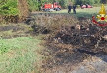 INCENDIO IN MANEGGIO. Vigili del Fuoco di Pescia salvano gli animali