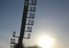 PESCIA MORSA DAL CALDO. Rilevati fino a 43 gradi. Le massaie sentinelle del clima