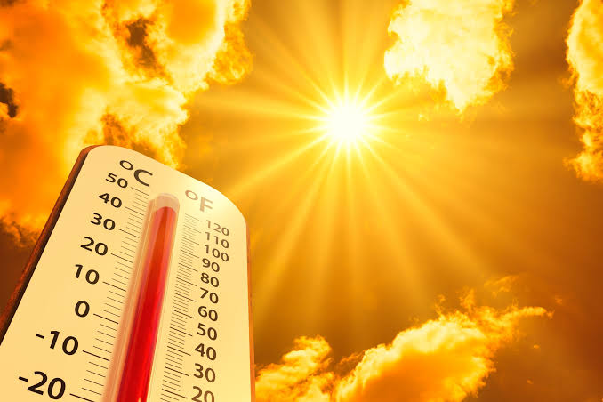 caldo
