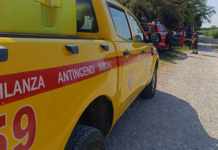 FIAMME LUNGO IL FIUME PESCIA domate dai Vigili del Fuoco. Le ipotesi, le foto