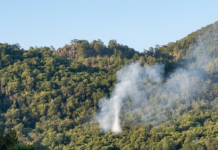 INCENDIO A STIAPPA. Soccorsi subito in azione, area in sicurezza