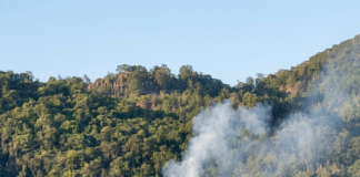INCENDIO A STIAPPA. Soccorsi subito in azione, area in sicurezza