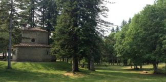 ROMINA BIAGI, DOMENICA 16 AGOSTO, alla Macchia dell’Antonini