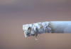 TU FUMI? In Toscana fuma il 23,8%. Al via il piano di prevenzione